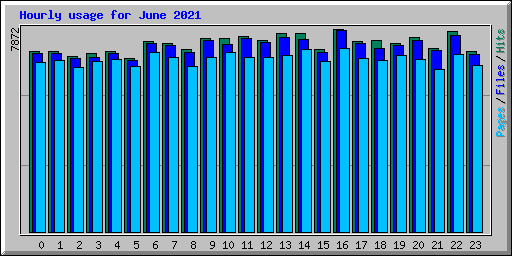 Hourly usage for June 2021