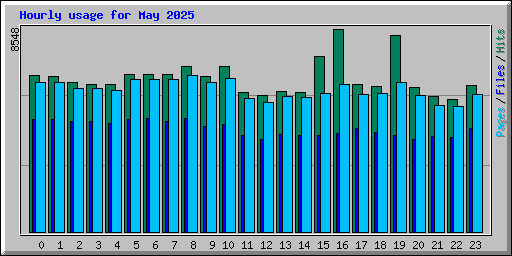 Hourly usage for May 2025